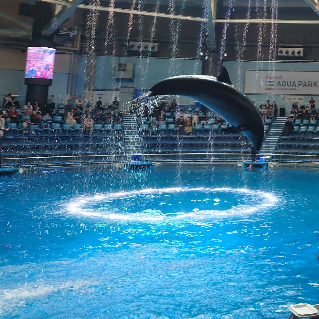 ももクロコラボ　水族館にいってきた！