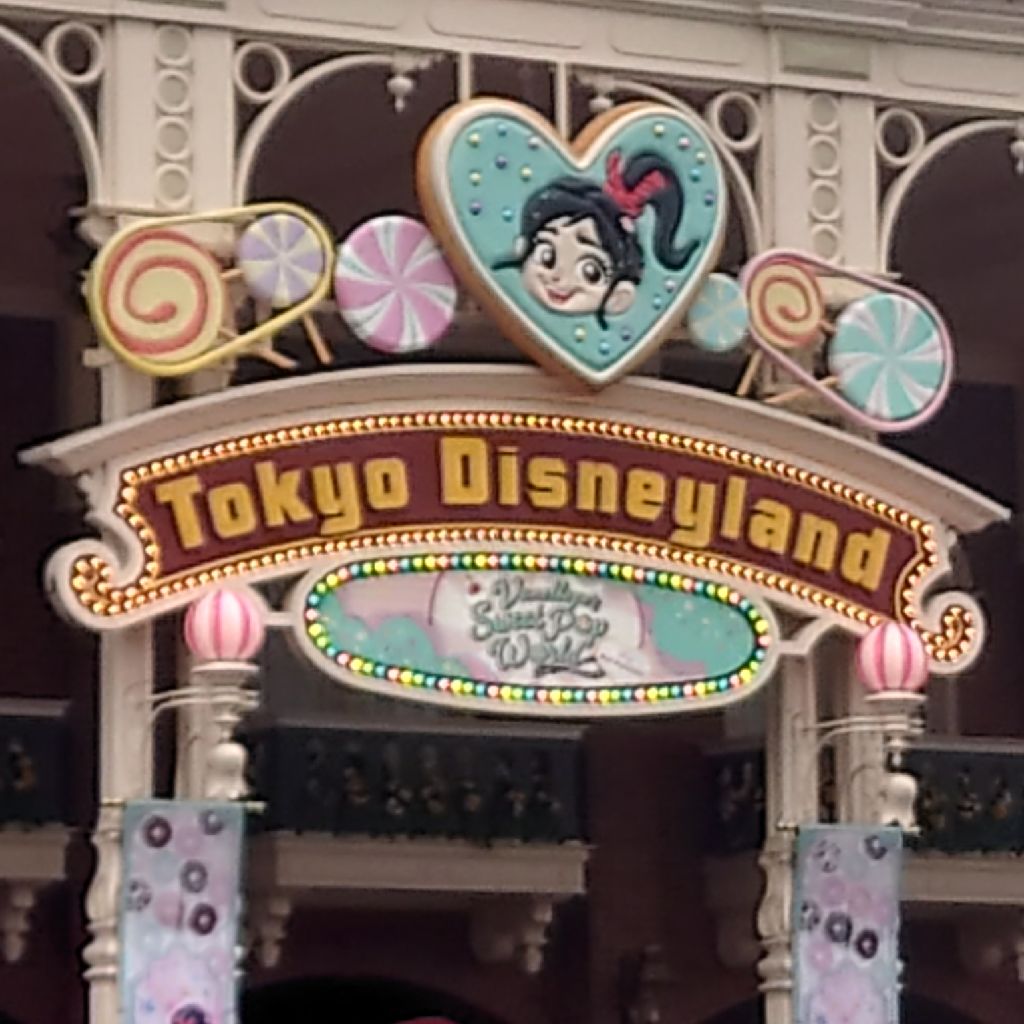 ディズニーランドに行ってきました！