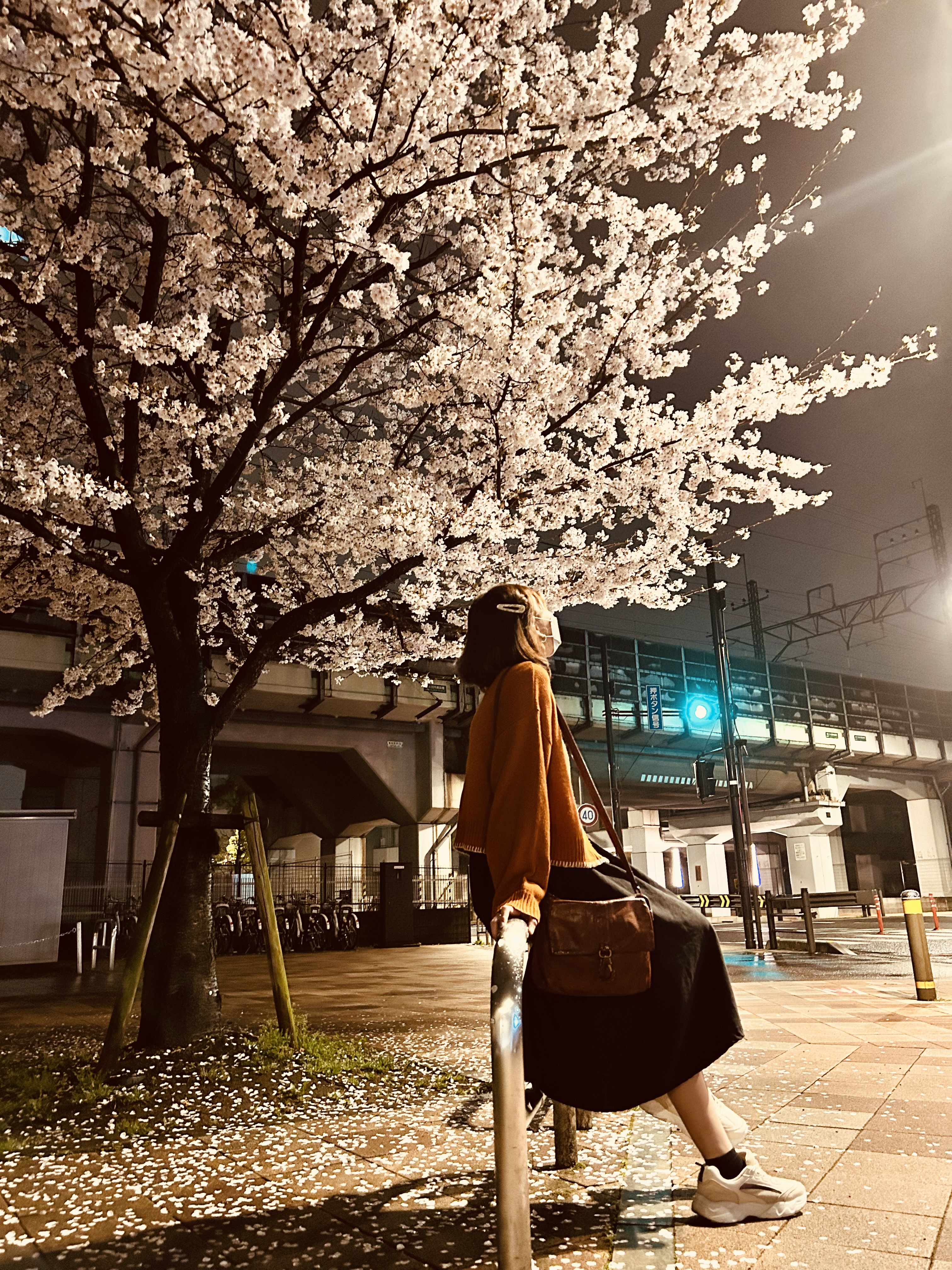 ダイ・ダイ