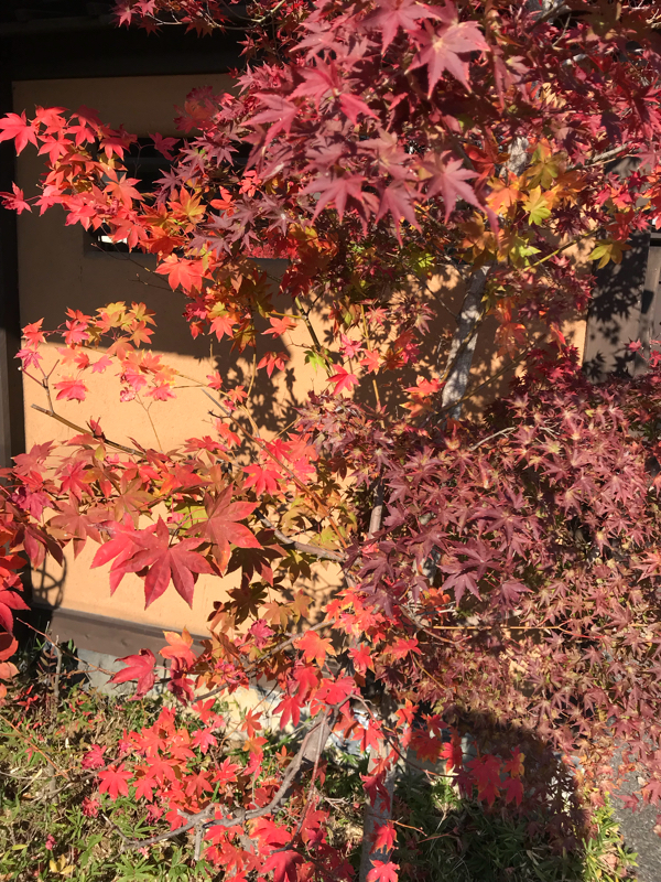 先生の瞳の色の話