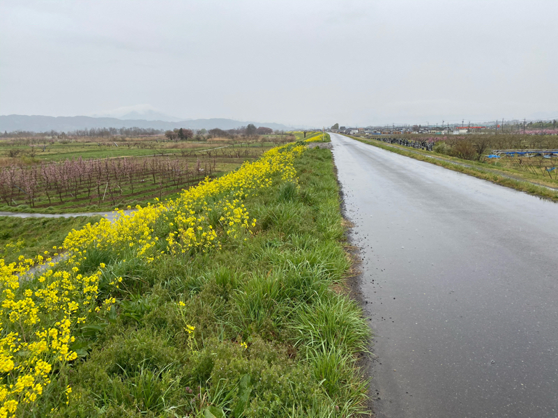 午前ラン12℃。雨。ラーメンベストテンその3。#16
