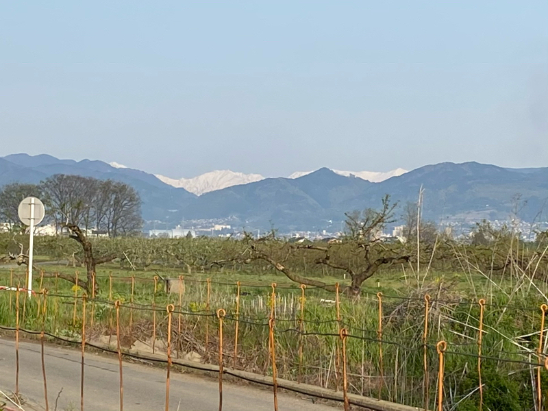 朝ラン6℃。結婚記念日と大親友のことパート1。#33