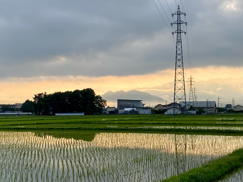 朝ラン18℃。左右の問題と守介掾目(かみすけじょうさかん)問題。#84