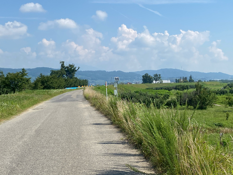朝ラン28℃。昨夜の生牡蠣と暑さに負けず人生最高の洋画ベスト10その2。#110