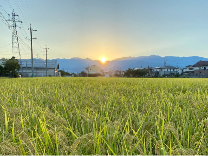 朝ラン18℃。快晴で気持ちのよい朝に気持ちのいい話し方講座するってえと何かい？かなんか語る。#168