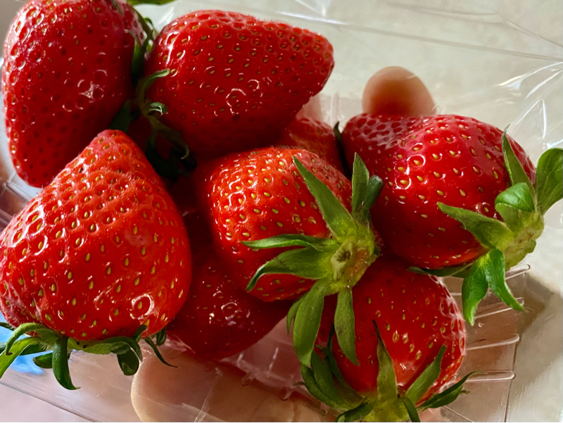 朝ラン9℃。歩数制限ととりじゃなさんの甘いアニメ声と神社での二礼二泊手一礼まさに神頼み。#374