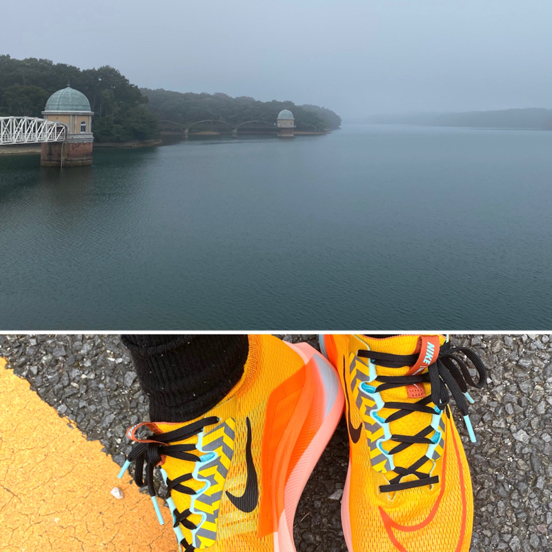 朝ラン26℃。霧の多摩湖からズームフライ4と負け虎と圓楽師匠とAudiostock応募券。#499