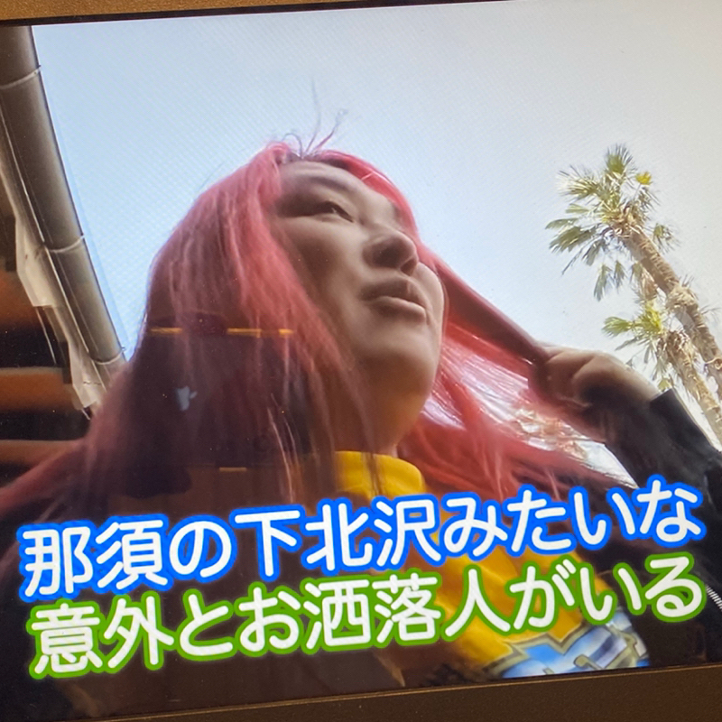 朝ラン17℃。アジアンテイストな風車と那須の下北沢と足尾銅山の日本一な温泉とシカとサル。#1604