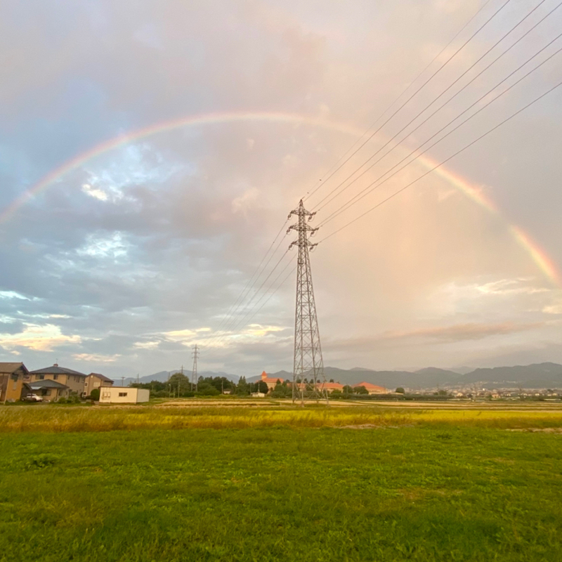 朝ラン17℃。hyh流電柱インターバル走と虹といい事と新企画外食チェーン売上げベストテン。#1630