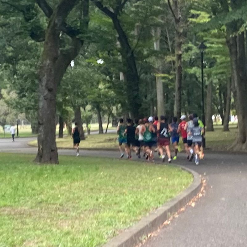 朝ラン17℃。昨夜の悪夢と夢の小金井公園と連合国と同盟国と初詣参拝客ランキングベストテン。#1647
