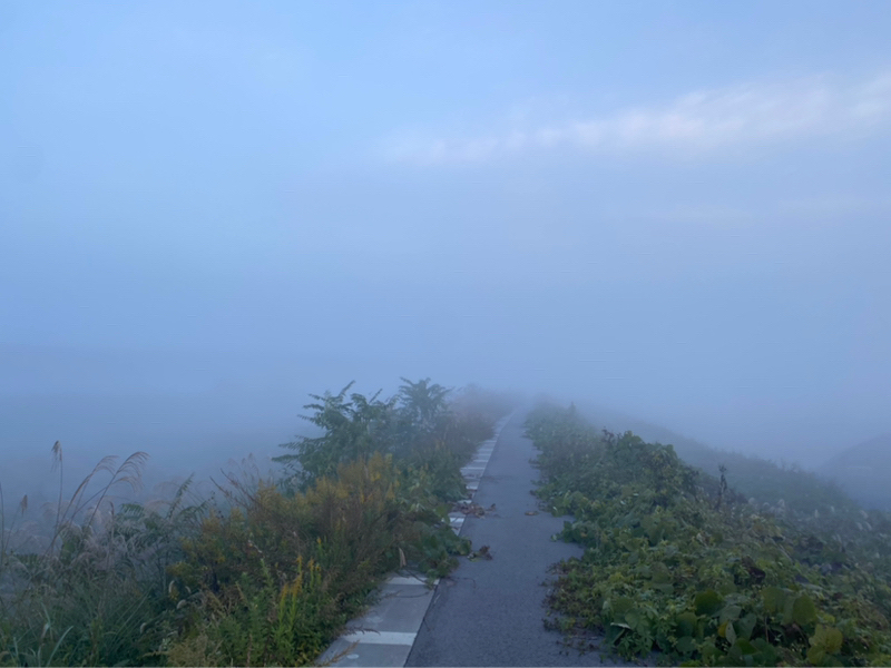 朝ラン5℃。寒さに慣れた朝と川面の霧と北アルプスと初冠雪とスタッドレスと県中学女子駅伝。#1672