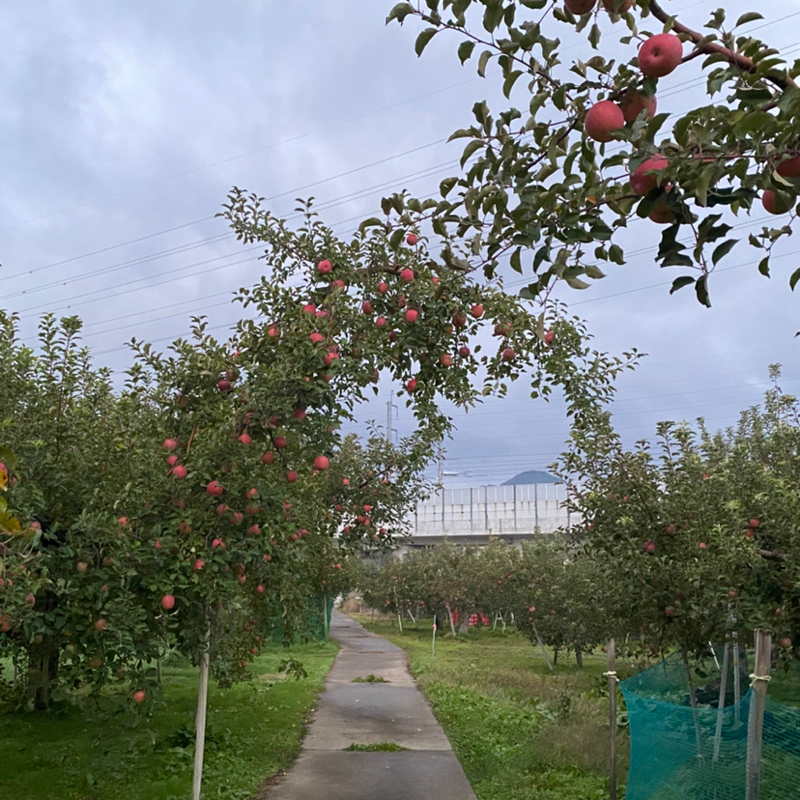 朝ラン5℃。とても読みにくいお便りと悴む手と結婚式で感じた「資本のリレー」。#1678