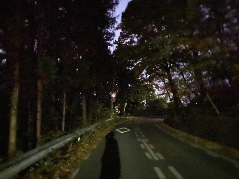 朝ラン5℃。正反対極まる人と熊対策と下弦の月とお便りプレッシャーと進次郎構文と板垣李光人。#1680