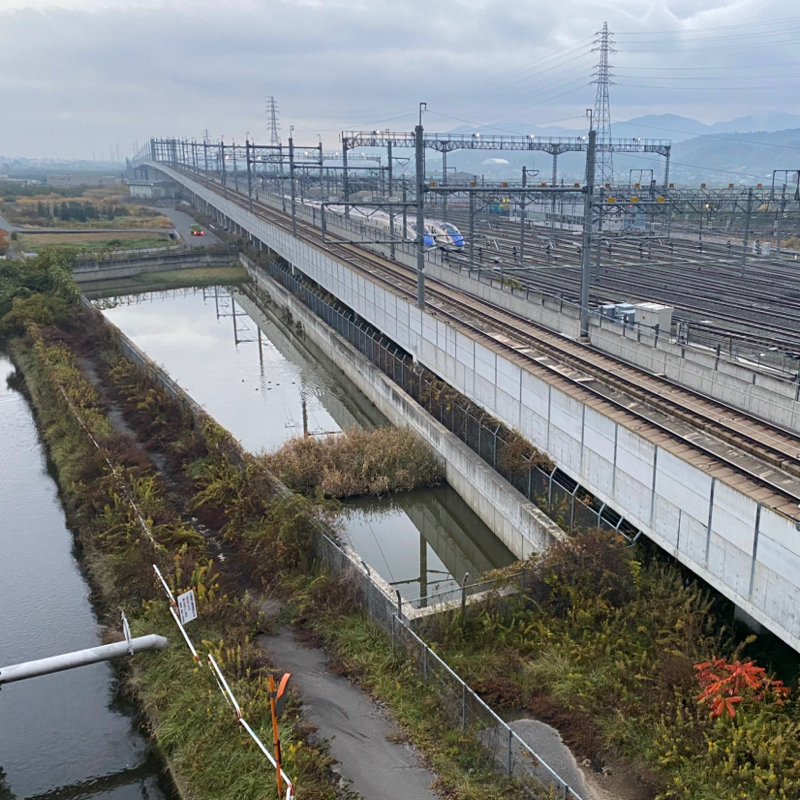 朝ラン7℃。完璧な二度寝三度寝とギフトのみの紹介と本当に演技が上手い女優は誰だベスト20。#1681