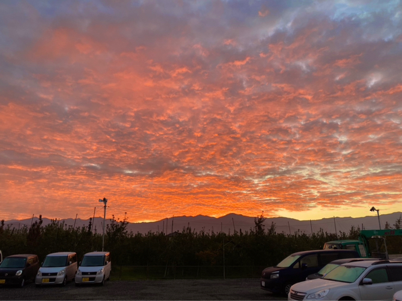 朝ラン3℃。ちょっと可愛い女優たちとあの時の演技と坂本の捕球と国会とハンバートハンバート。#1682