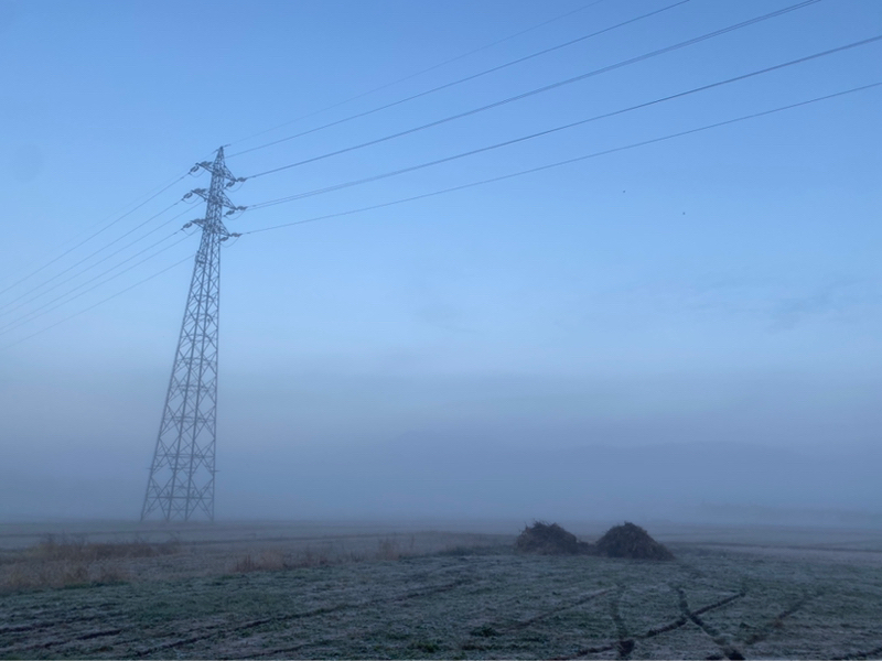 朝ラン3℃。続く新企画「ニュースガチャ」で多いのはやはりおトキとヘブン先生の朝ドラでした。#1683