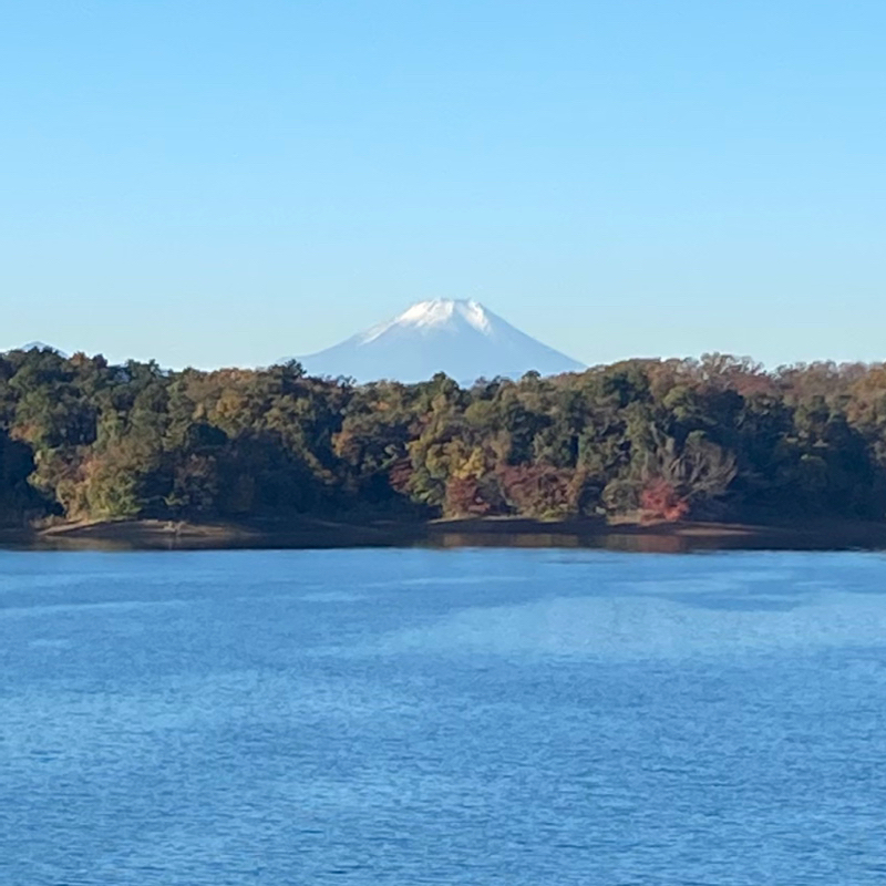 朝ラン6℃。トトロの森と理想の富士山と病床からの金曜配信とケーキバイキングとえきネット。#1689