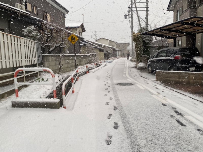 朝ラン-1℃。完全な民主政と完全な独裁政と爆笑問題の健筆と好きな女性タレントベストテン⑦。#1703