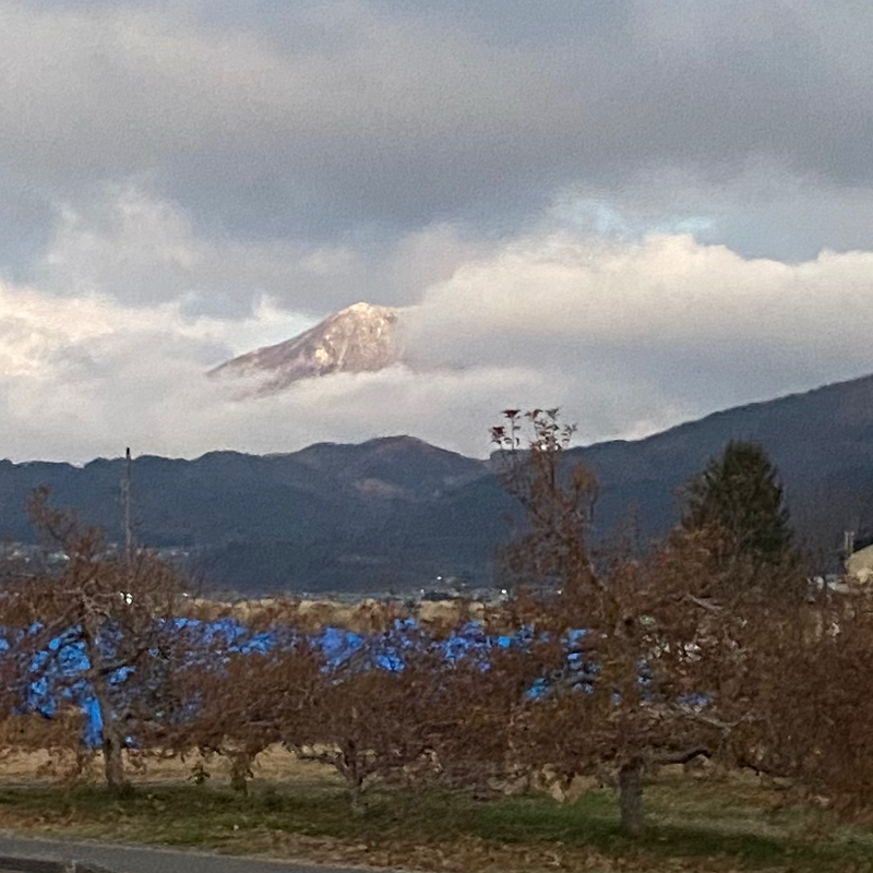 朝ラン2℃。弾き語り収録配信ベストテンとの夢のコラボの好きな女性タレントベストテン11。#1707