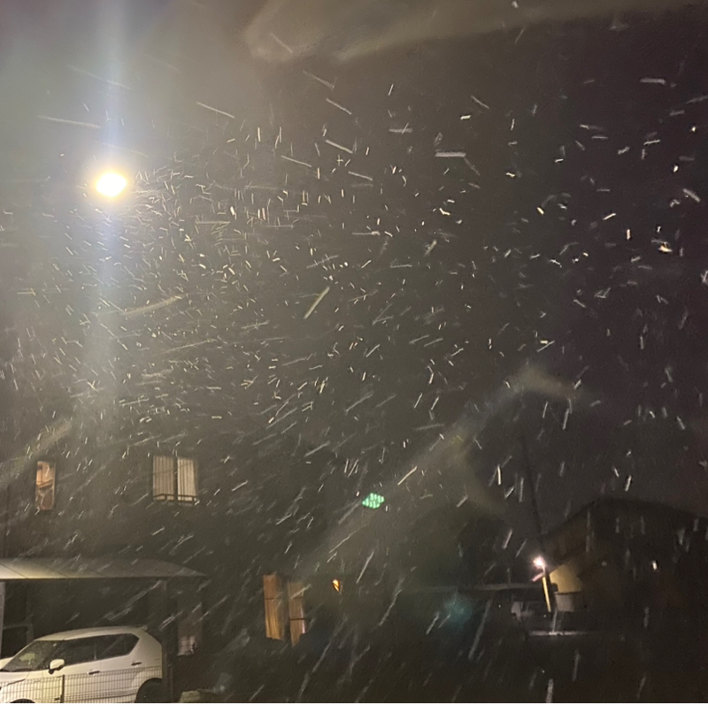 朝ラン0℃。世界で最もパワフルな女性100人の好みと好きな女性タレントベストテン第14回。#1710