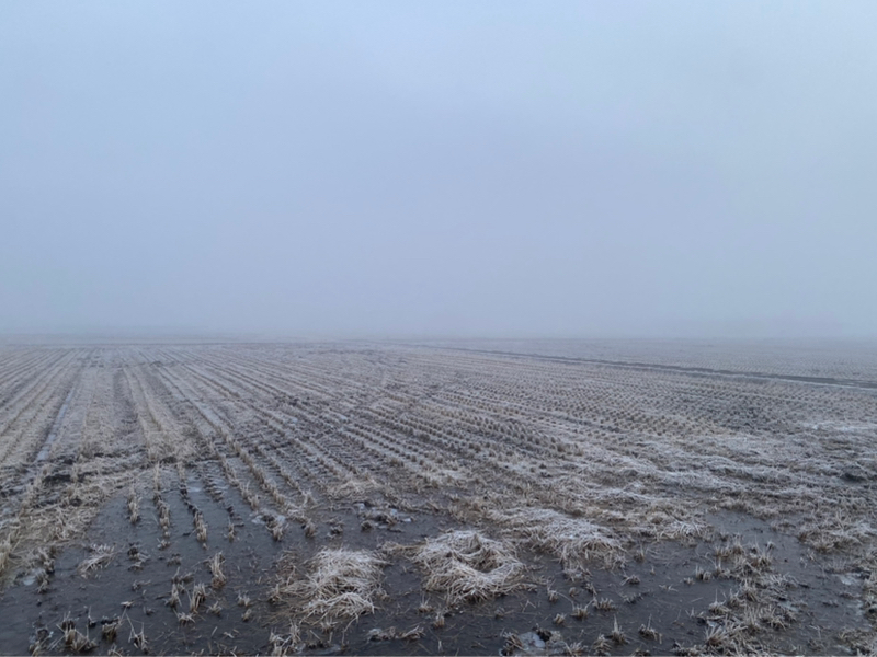 朝ラン-3℃。真っ白な朝と寝坊と金縛りと2025年印象に残った出来事ベストテン第2回。#1714