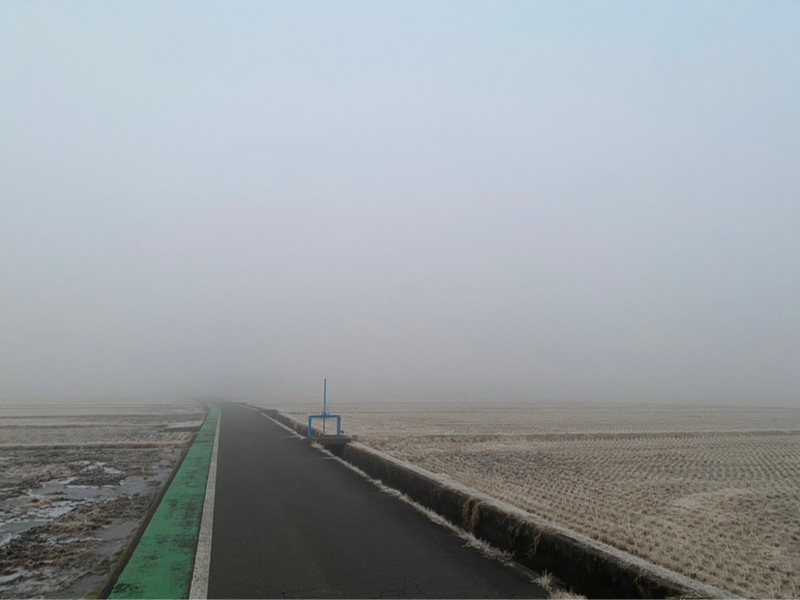 朝ラン-1℃。アーク放電とわるい人の金曜日とシャバい？印象に残った出来事ベストテン第5回。#1717