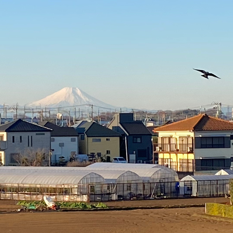 朝ラン1℃。主治医と専属薬剤師とウハウハな女と高石あかりとアイミスユーを教えてくれた彼女。#1739