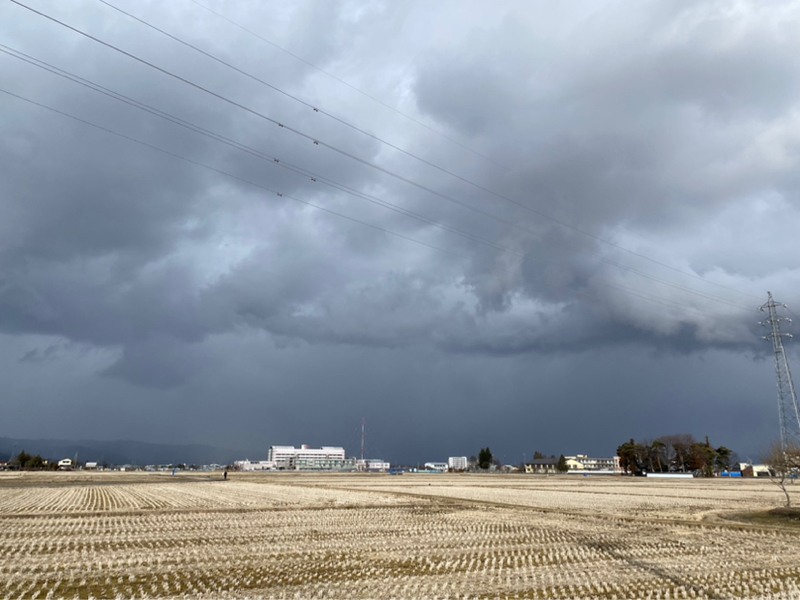 午後ラン1℃。テイク2でお届けする大寒波と足の速い男子とオッパイの大きな女子と1両の価値。#1753
