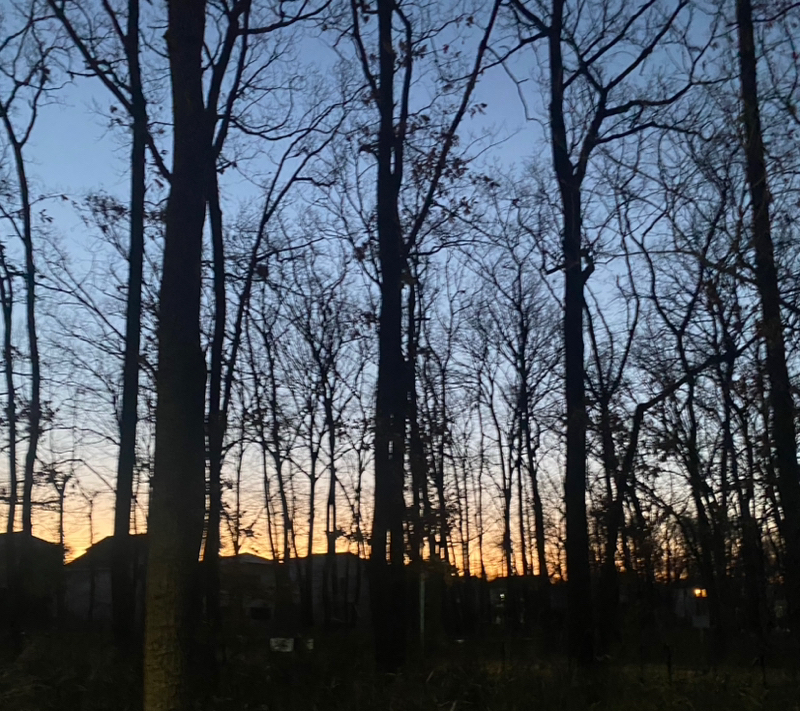 朝ラン-1℃。大学落研の新年会と短いアレと雪山のリスクと2026年登ってほしいお勧めの山。#1760