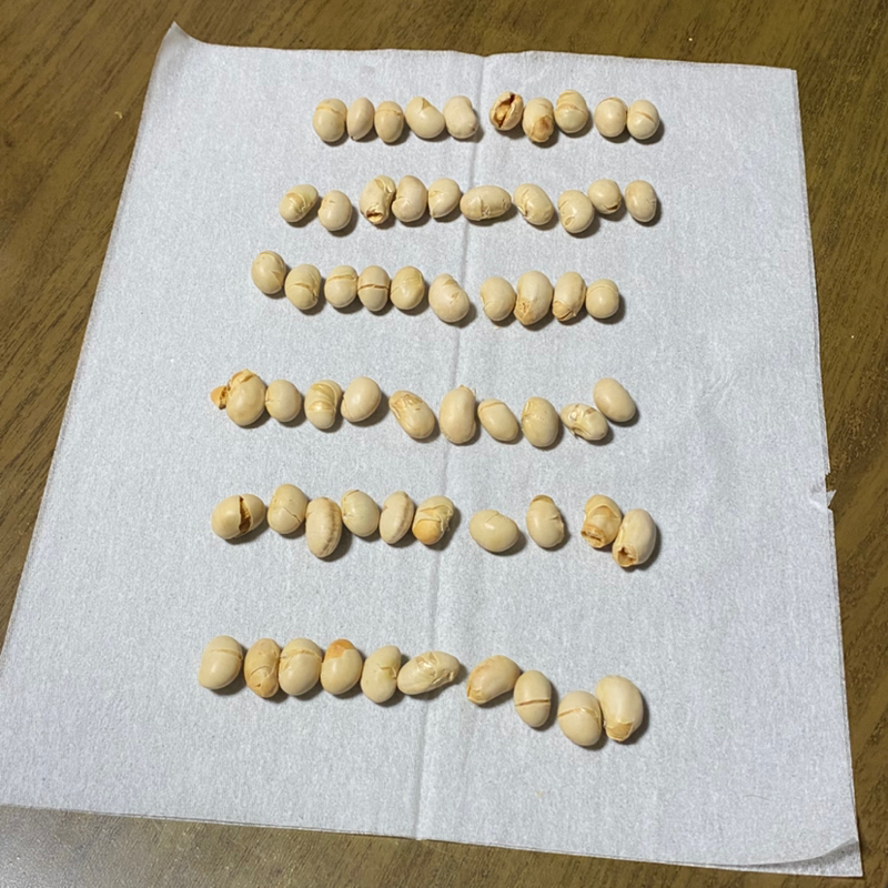 朝ラン-5℃。#1764