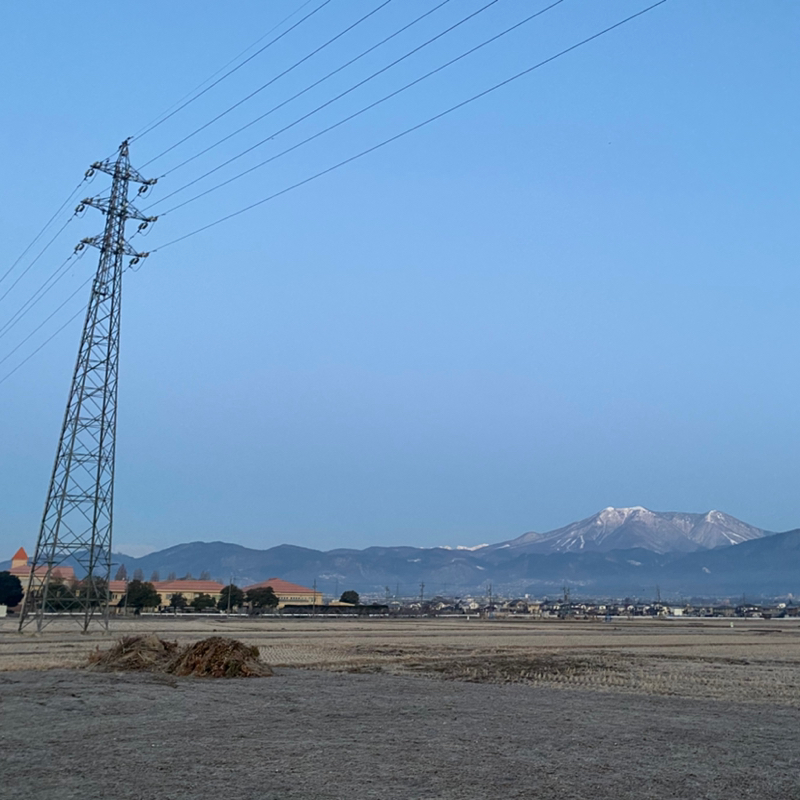朝ラン-3℃。喉の痛みと体調管理と結婚相手に選ぶとほぼ失敗する女性に実は共通している特徴。#1765