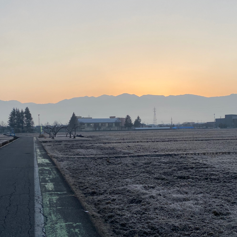 朝ラン-2℃。3日連続のビーナスベルトとバーダーマインホフ現象とバイアスとジェラートピケ。#1766