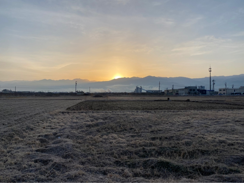 朝ラン0℃。300kmで走るスーパーカーと寝首を掻かれる世界と虫が蠢く春よりも早い河津桜。#1794