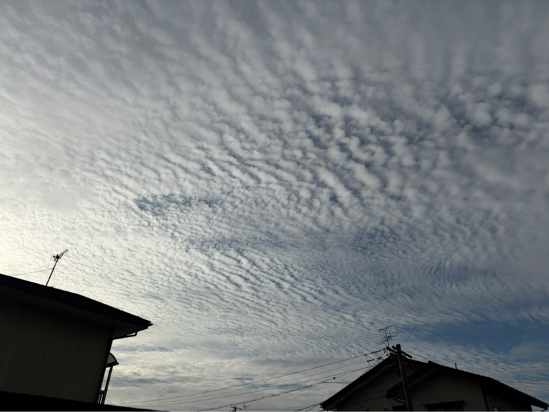 朝ラン10℃。キメキメの年度末と毎日洗濯のススメと好きな路線B10第16回(最終回か)。#1817