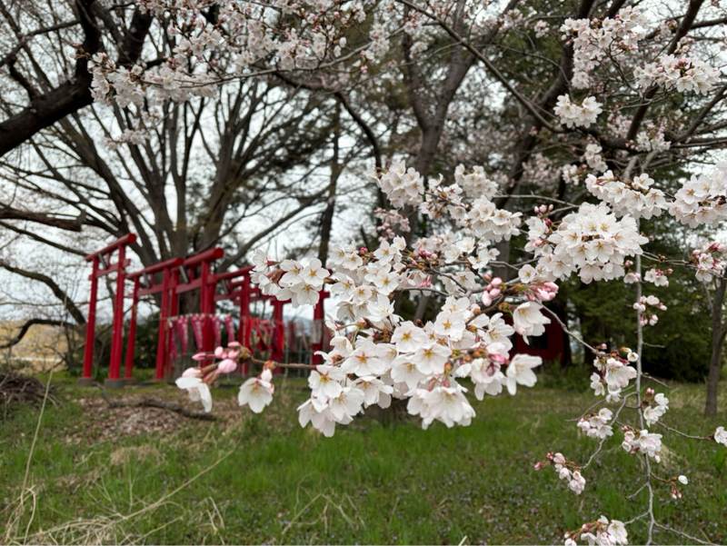 午前ラン12℃。徒歩で6周もしている「まちゅうの好きな路線ベストテン第19回(最終回)」。#1820