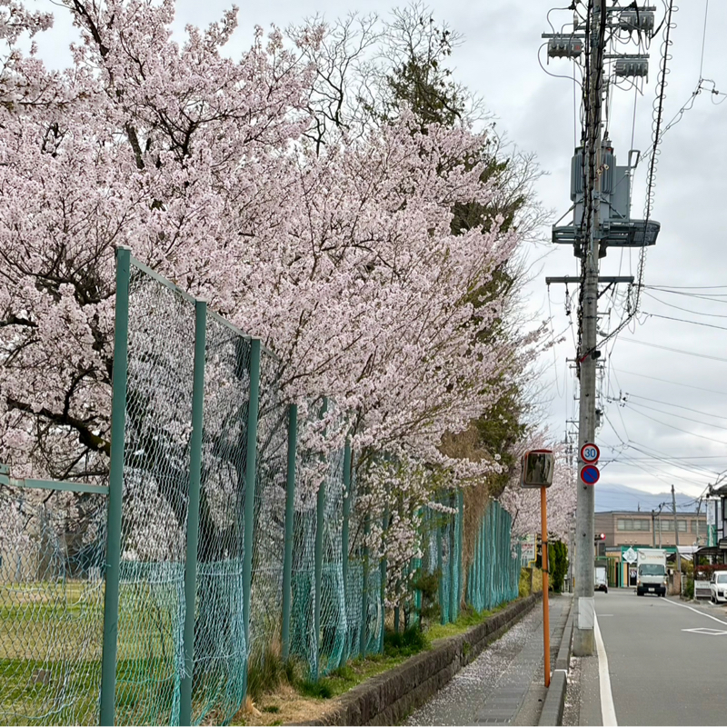 昼ラン10℃。用事があるのに寝坊で走れなかった朝の分の昼ランとボンドロと朝ドラ新ヒロイン。#1823