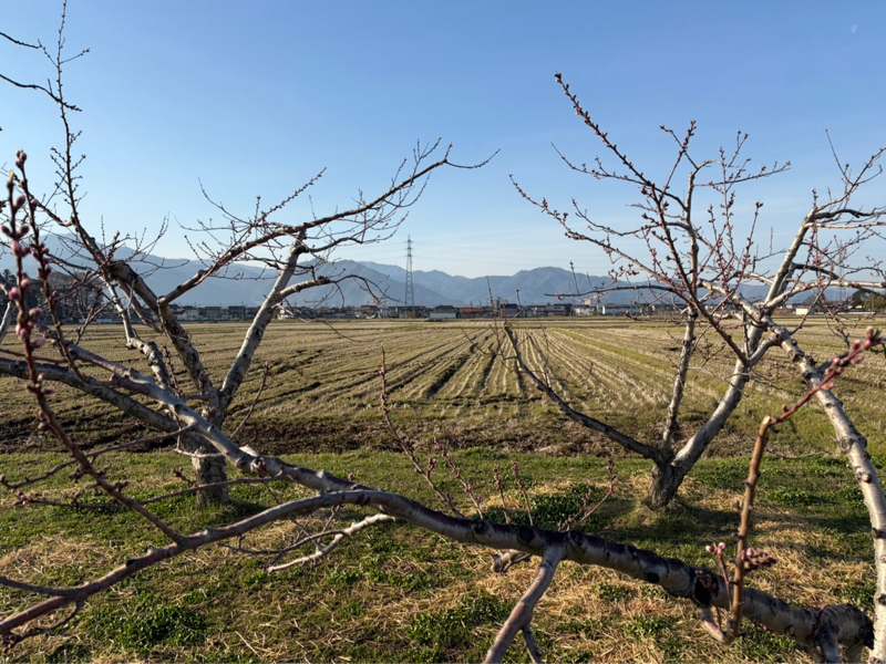 朝ラン5℃。hyhレディオのオープニング完コピと冷蔵庫と妄想と答えの出ない事態に耐える力。#1825