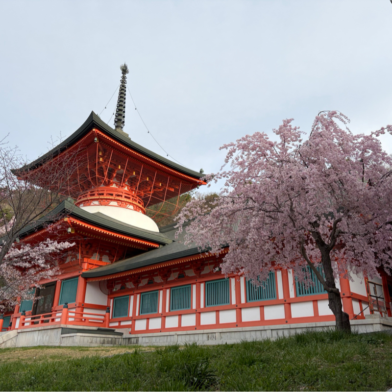 朝ラン6℃。筋肉痛が足りないダウンヒル走と昭和と令和とファンタジスタと心の目と鮮明な記憶。#1829