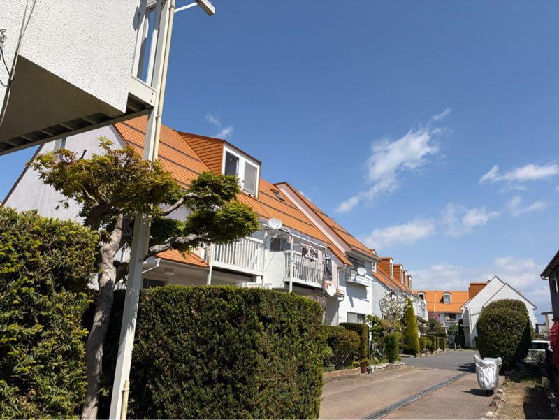 昼ラン17℃。朝ドラを完走した感想を書く物書き男の感想と完走を目指す男の体調と深い二度寝。#1832