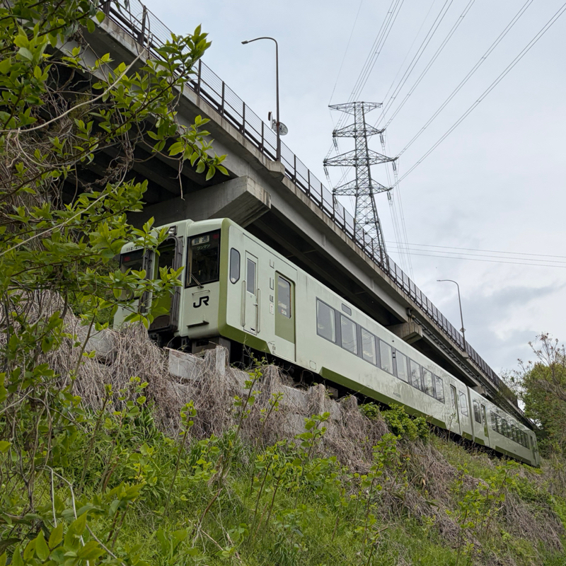 午前ラン13℃。ただただ距離踏む今月の追込みランと痙攣解消法と長寿会と妻と旦那の心と身体。#1843