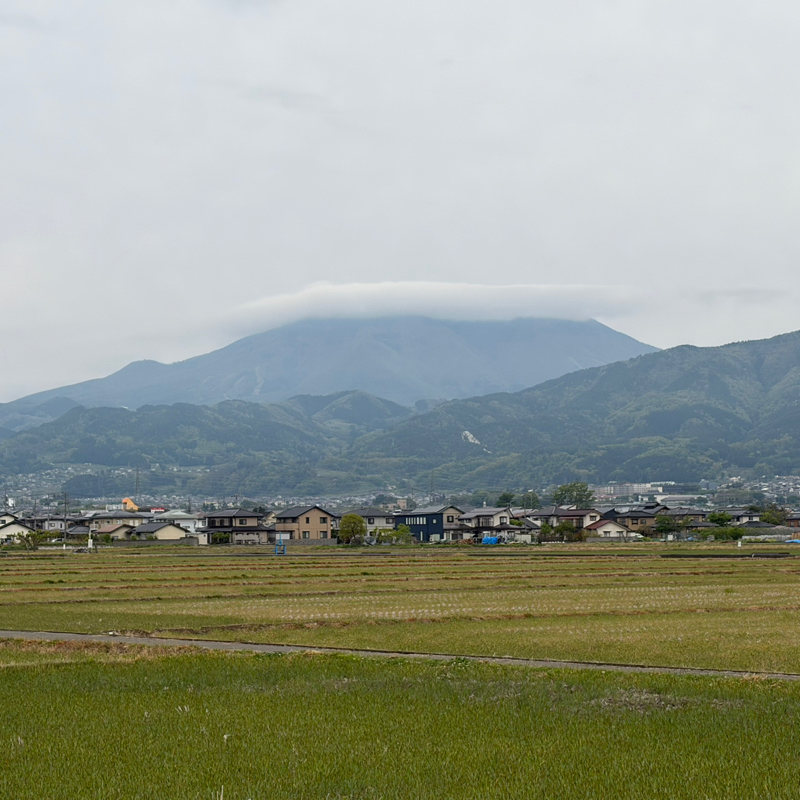 朝ラン9℃。月間走行距離300km到達必至の朝ランと応援してくれた美人女子とイチゴの季節。#1844