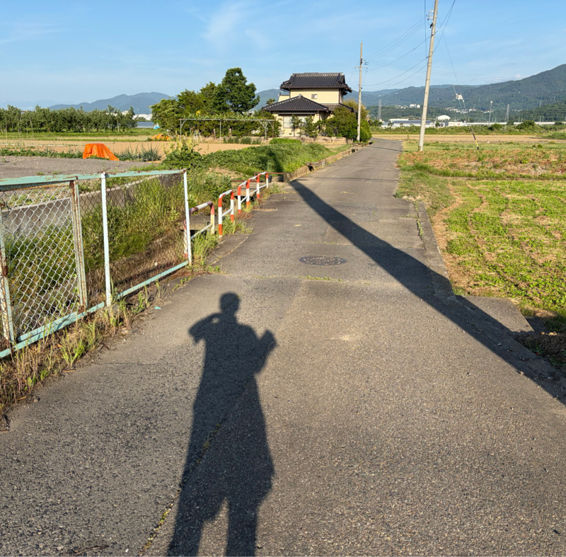 朝ラン16℃。秩父に行こうと誘う女とテルマエロマエとの素晴らしい関係と極道の先生の物語。#1869