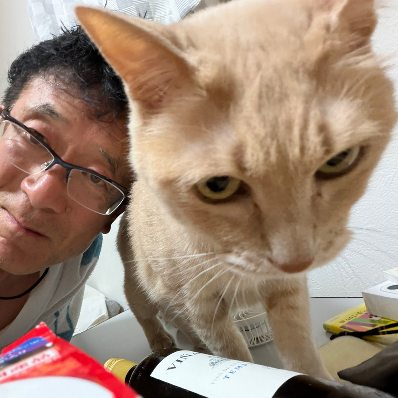朝ラン23℃。アニバーサリー休暇とつれない態度の三男(猫)と聴いてほしい私の恋花火ライブ。#1873