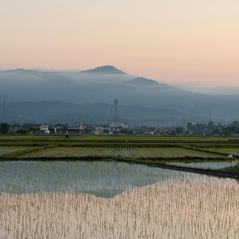 朝ラン14℃。早起き野球の準備と田んぼの水面に映る山とツボに入るがち、んこ対決と絶好調男。#1891