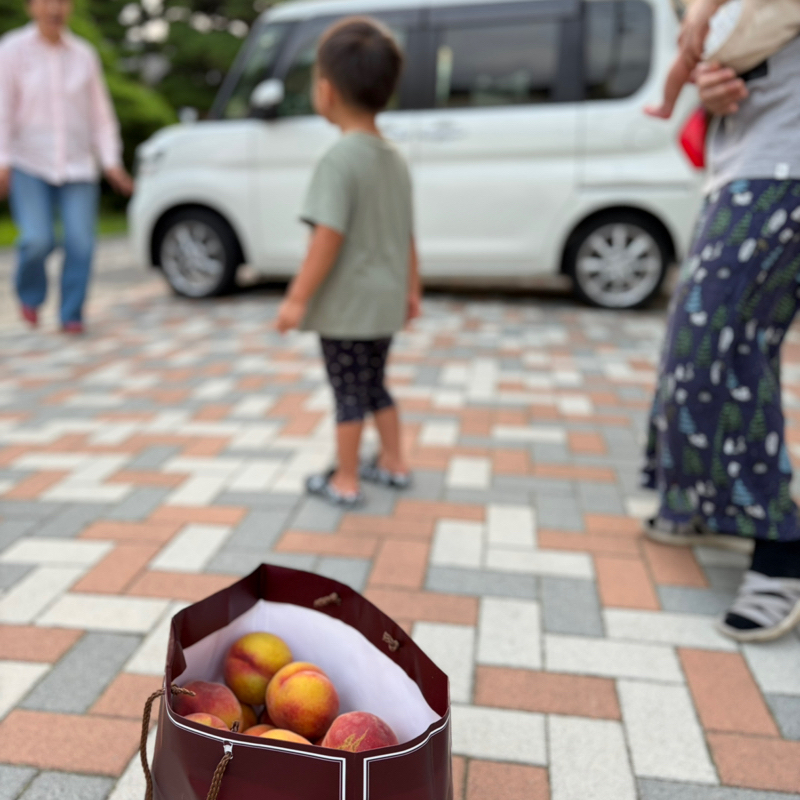 朝ラン25℃。男系男子と台風19号災害がなければ今こんなことにはなってないだろうと思う命。#1922
