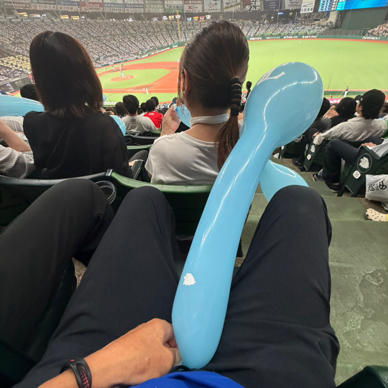 朝ラン27℃。嬉しかったワンコインのお姉さんと28年振りのライオンズの試合と金曜日の男根。#1943