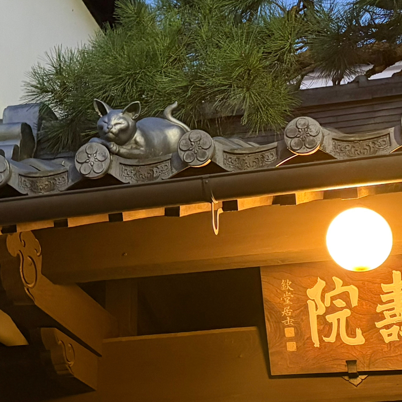 朝ラン21℃。24時間営業のトイレ事情と徳寿院の眠り猫とギネス記録のコラムの気になるトリ。#1948