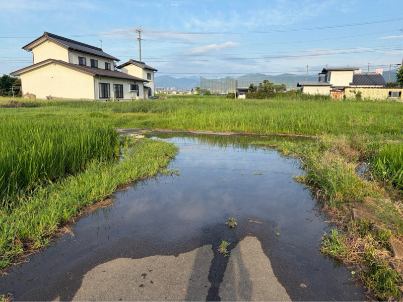 朝ラン23℃。赤い人とたったの2cmでうろたえる水浸しの道とサヨナラ本塁打とCM女王探し。#1954