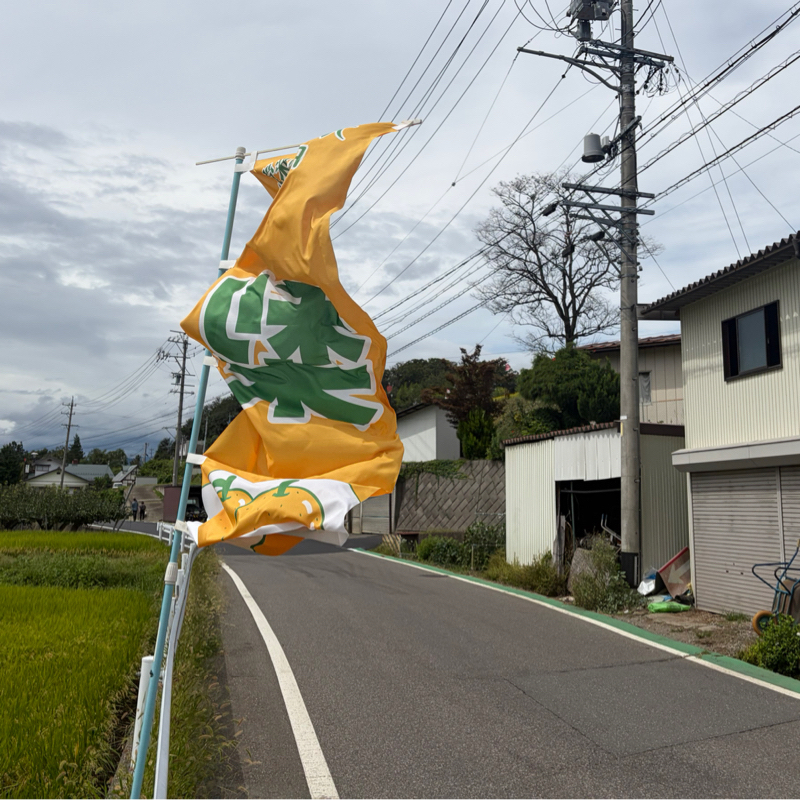 午前ラン22℃。南水の旗とリゾート地の王様軽井沢と日比谷松本楼と人生初の草笛とくるみ三昧。#1973