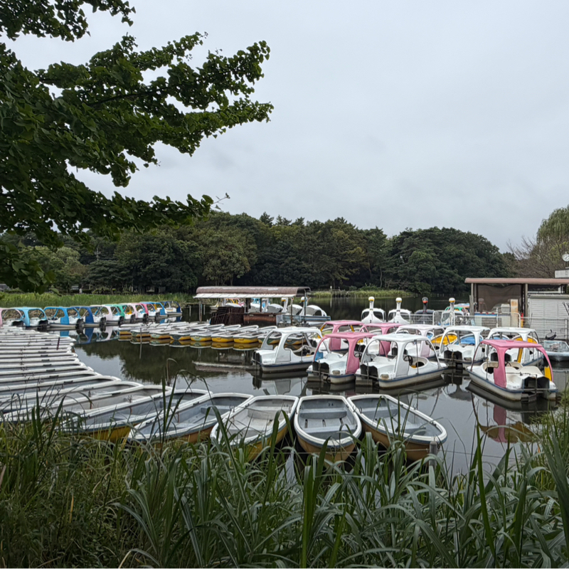 朝ラン21℃。購入したくなるグランドメゾン石神井公園とハマるコナズ珈琲と大ピンチな秋祭り。#1981